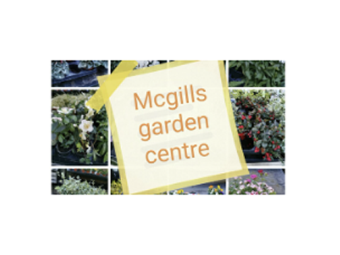 Gooig Centre Ltd